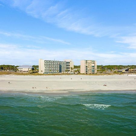 Seaview Studio At Top Of The Gulf #823 By Nautical Properties Panama City Beach Eksteriør billede